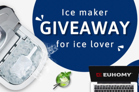 Ice lover’s questionnaire - Euhomy