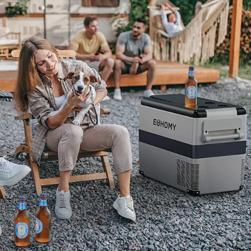 portable ice maker