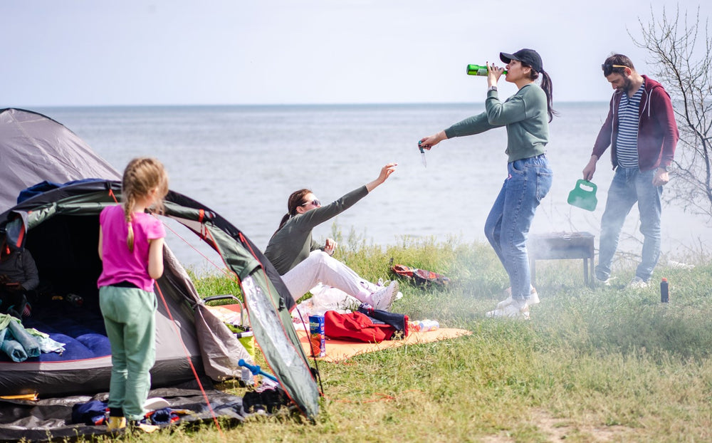 This Portable Car Fridge is Worth Every Dollar - Euhomy