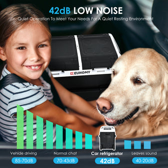 EUHOMY 12 Volt Car Refrigerators Dual Zone